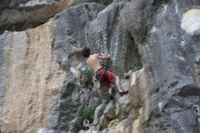 Alex dans le vrai 6c